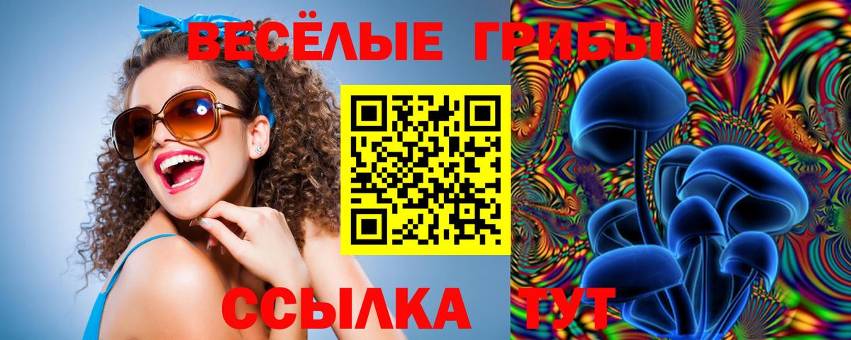 Галлюциногенные грибы прущие грибы Троицк