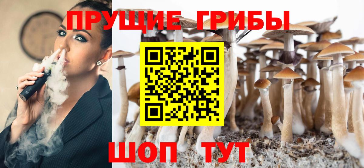 Псилоцибиновые грибы Psilocybe  Вход с VPN  Троицк 